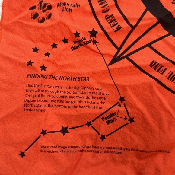 Set of four bandanas - two Disney, one Thomas the Train, one Survival Tips - Picture 11 of 16